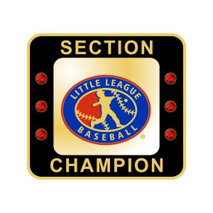 Little League Baseball Section Ring
