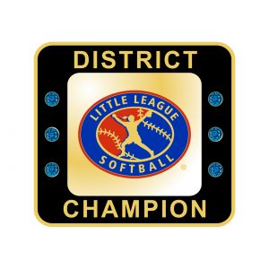 Little League Softball District Ring