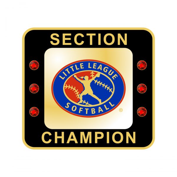 Little League Softball Section Ring
