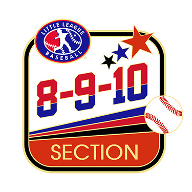 Baseball 8-9-10 Section Pin