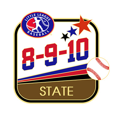 Baseball 8-9-10 State Pin