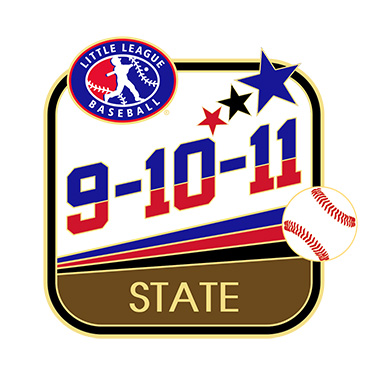 Baseball 9-10-11 State Pin