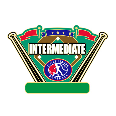 Baseball Intermediate All Purpose Pin