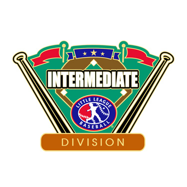 Baseball Intermediate Division Pin