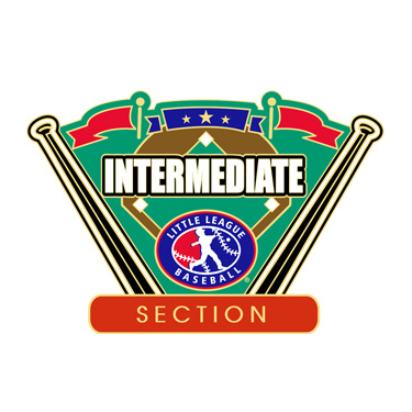 Baseball Intermediate Section Pin