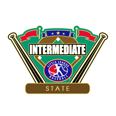 Baseball Intermediate State Pin