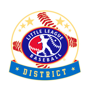 Baseball Little League District Pin
