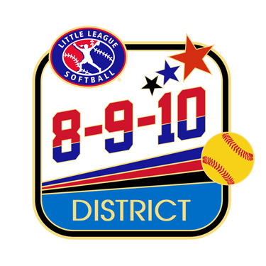 Softball 8-9-10 District Pin